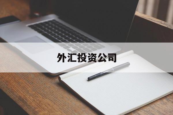 外汇投资公司(外汇投资有限公司)